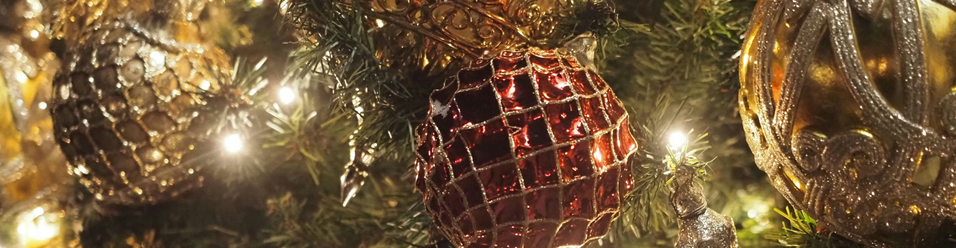 natary-t-tekzn4vswya-unsplash-23560