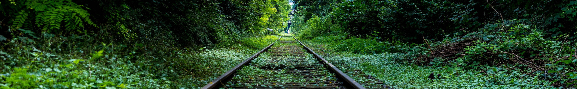 Venir en train dans l'Archipel de Thau