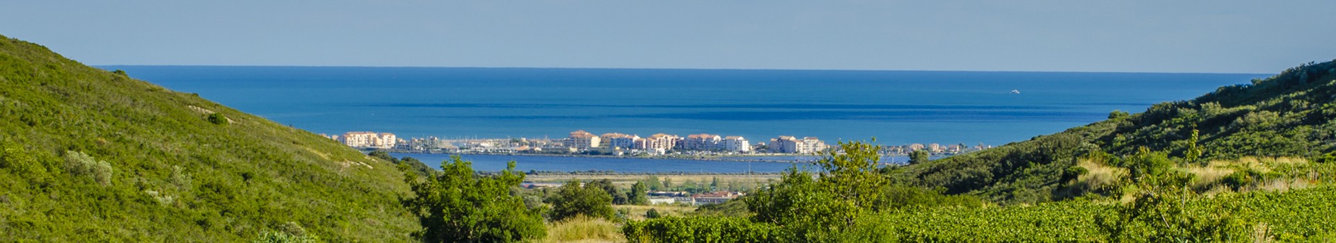 vignes  et mer Frontignan