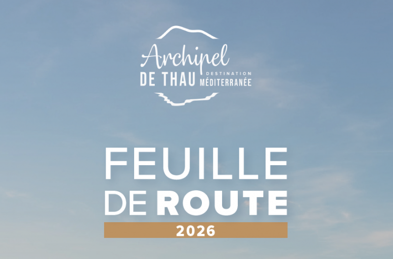 T&eacute;l&eacute;charger le projet d'activit&eacute; 2026