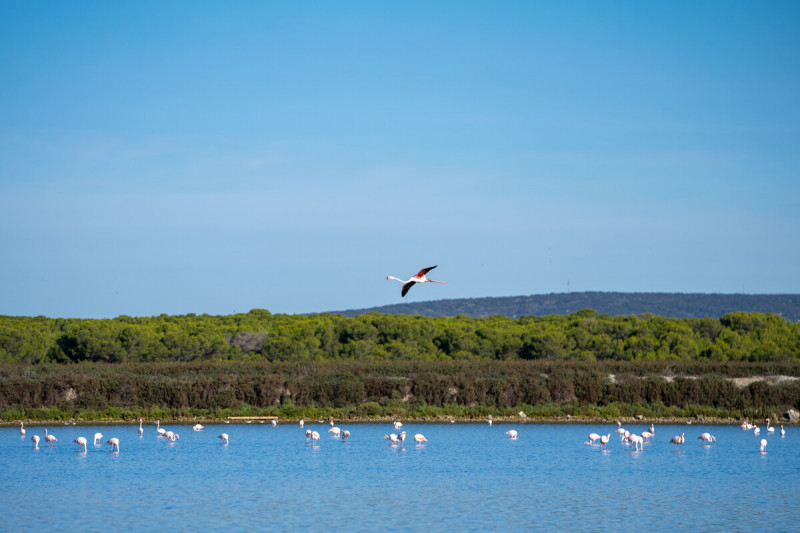 Tourisme durable en Occitanie