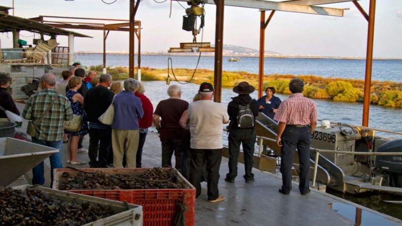 Visites gourmandes et culturelles