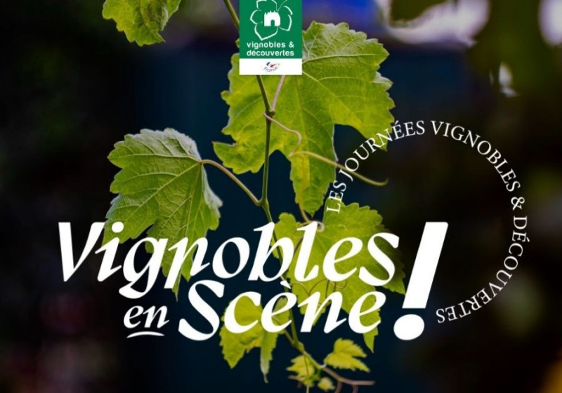 Vignobles en Scène : Les journées Vignobles & Découvertes