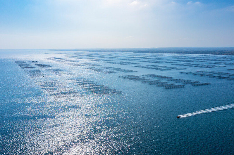 Coming to the Thau Archipelago without a car