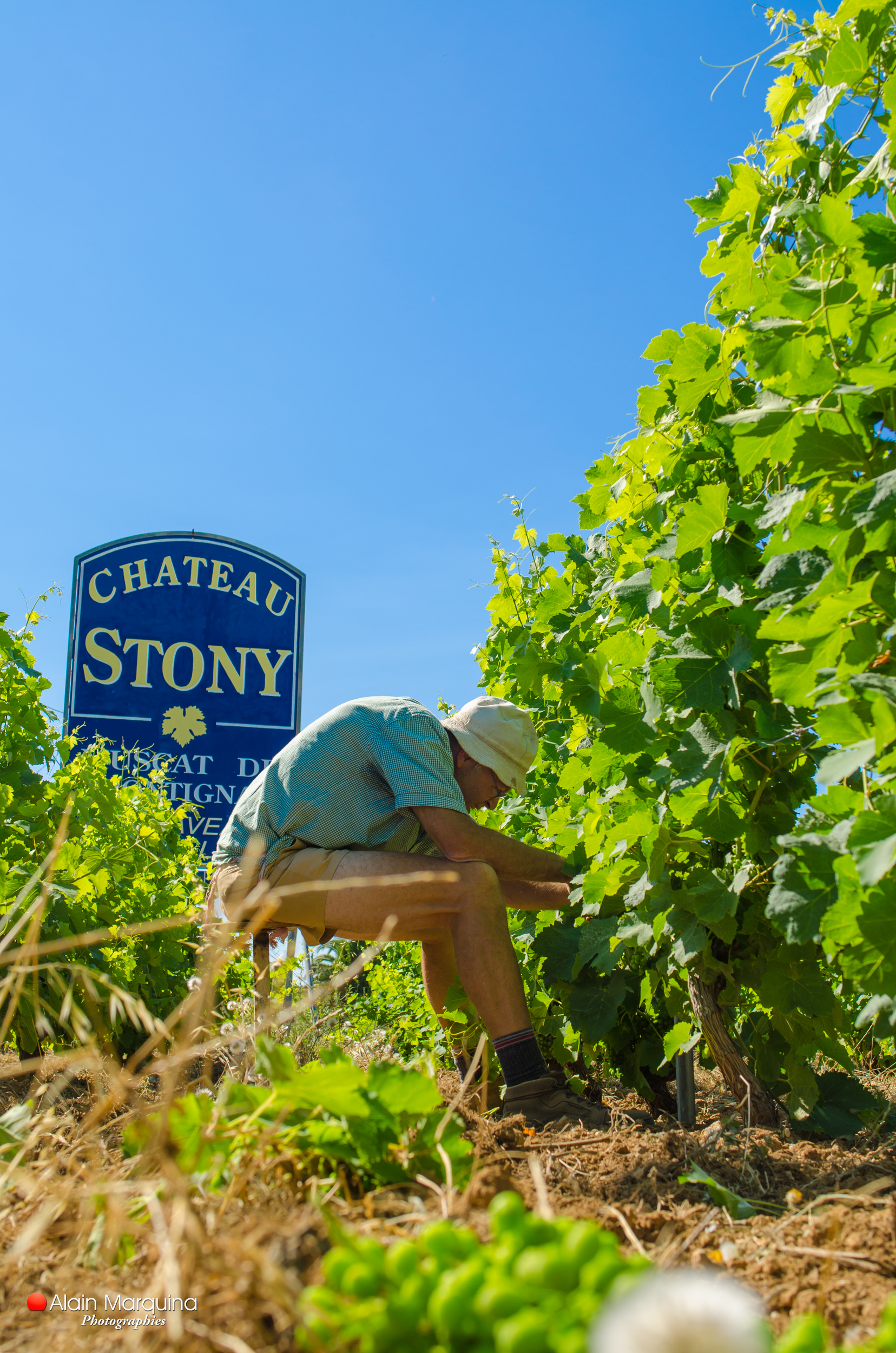 Château de Stony