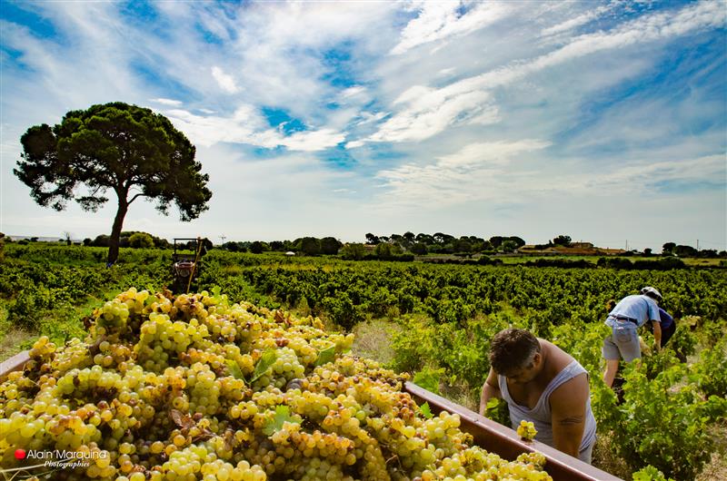 Domaine de Stony