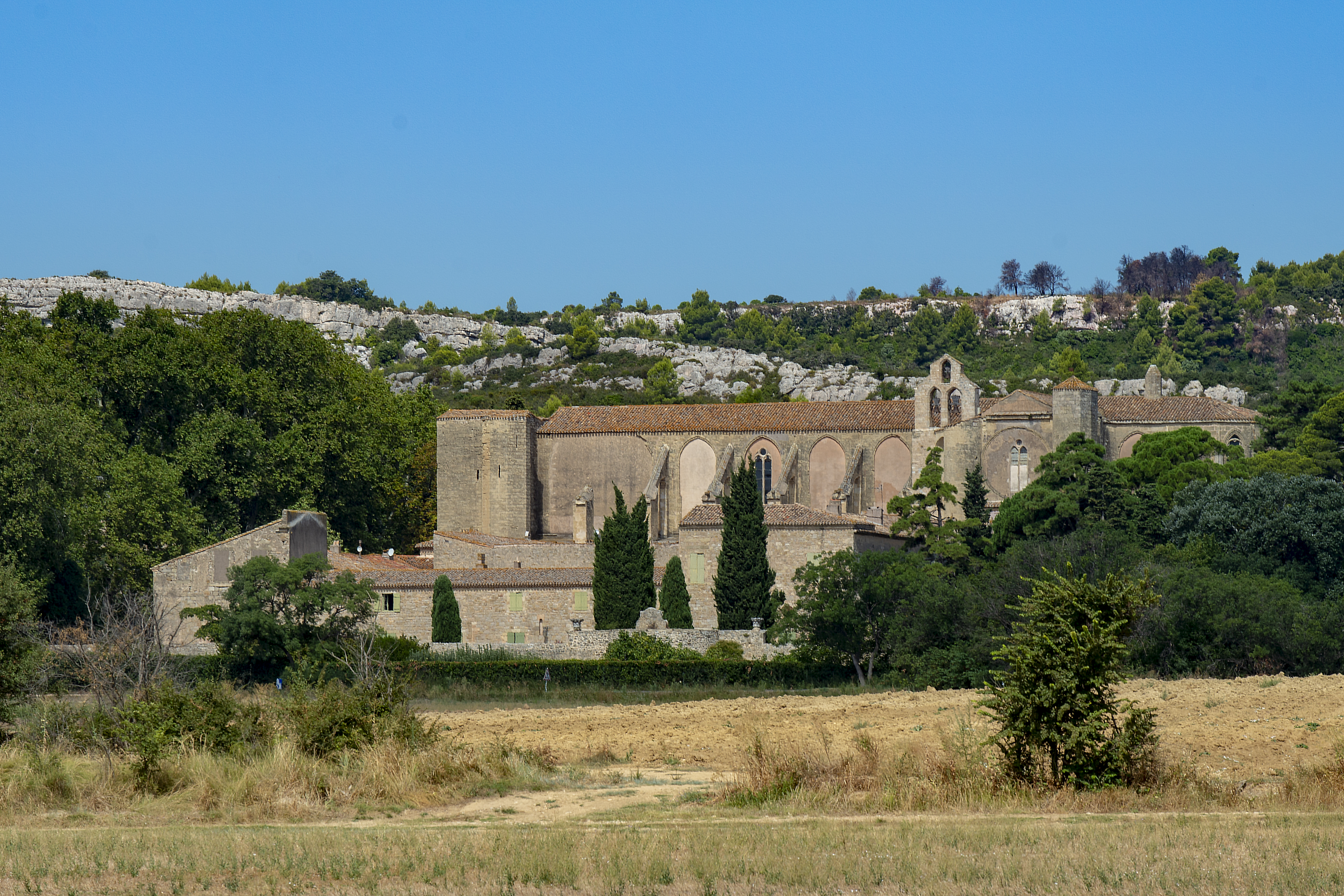 Abbaye de Valmagne