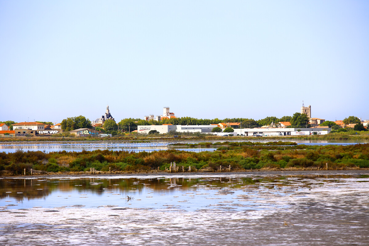 Les anciens salins de Frontignan