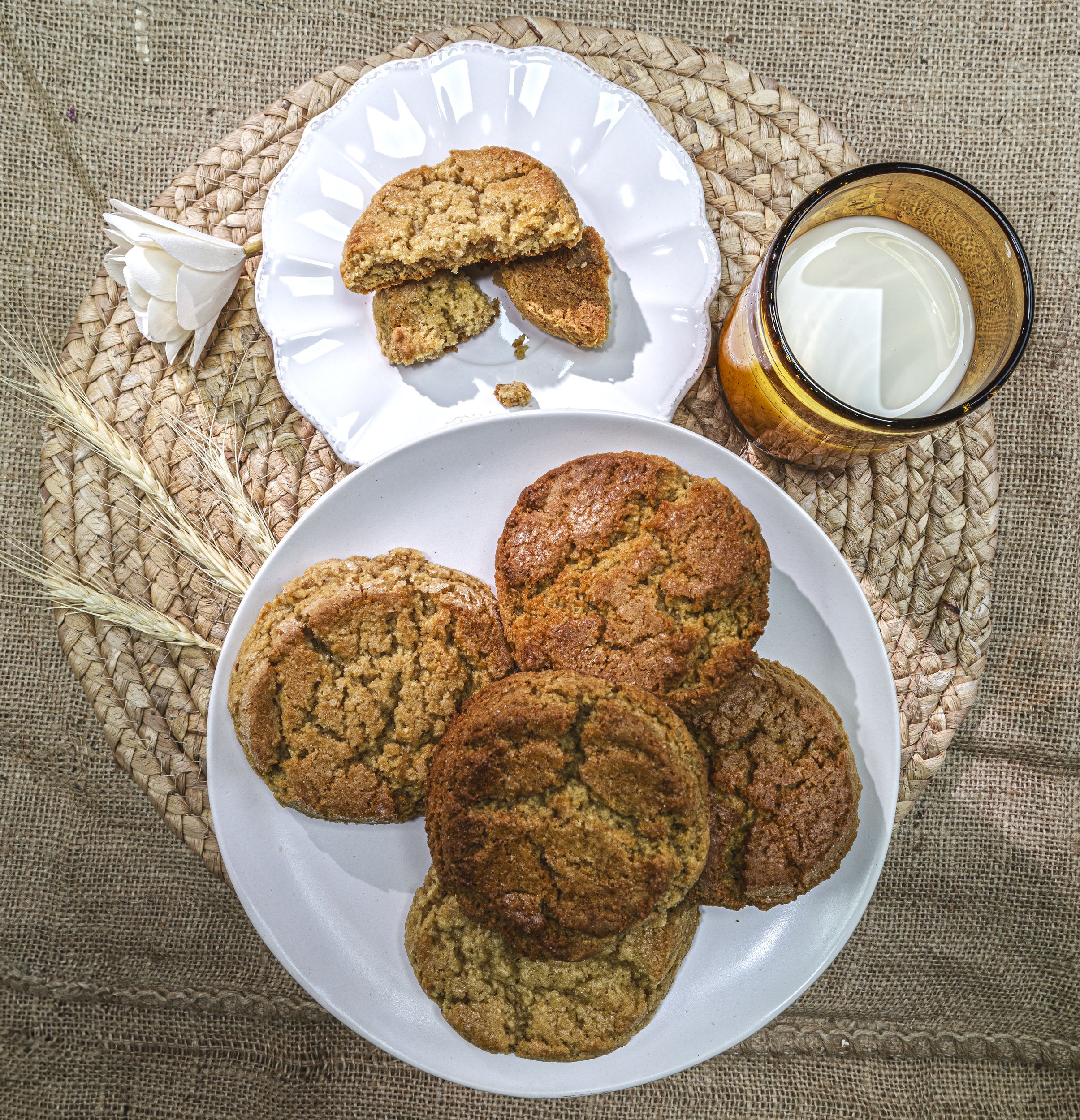 BISCUITERIE POUGET SETE MERENDA TONY (6)