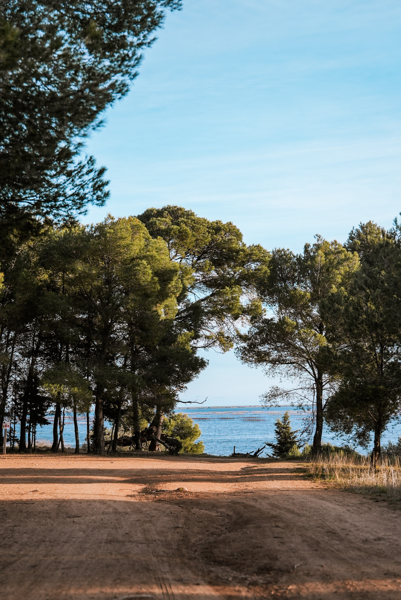 Le domaine de Bellevue