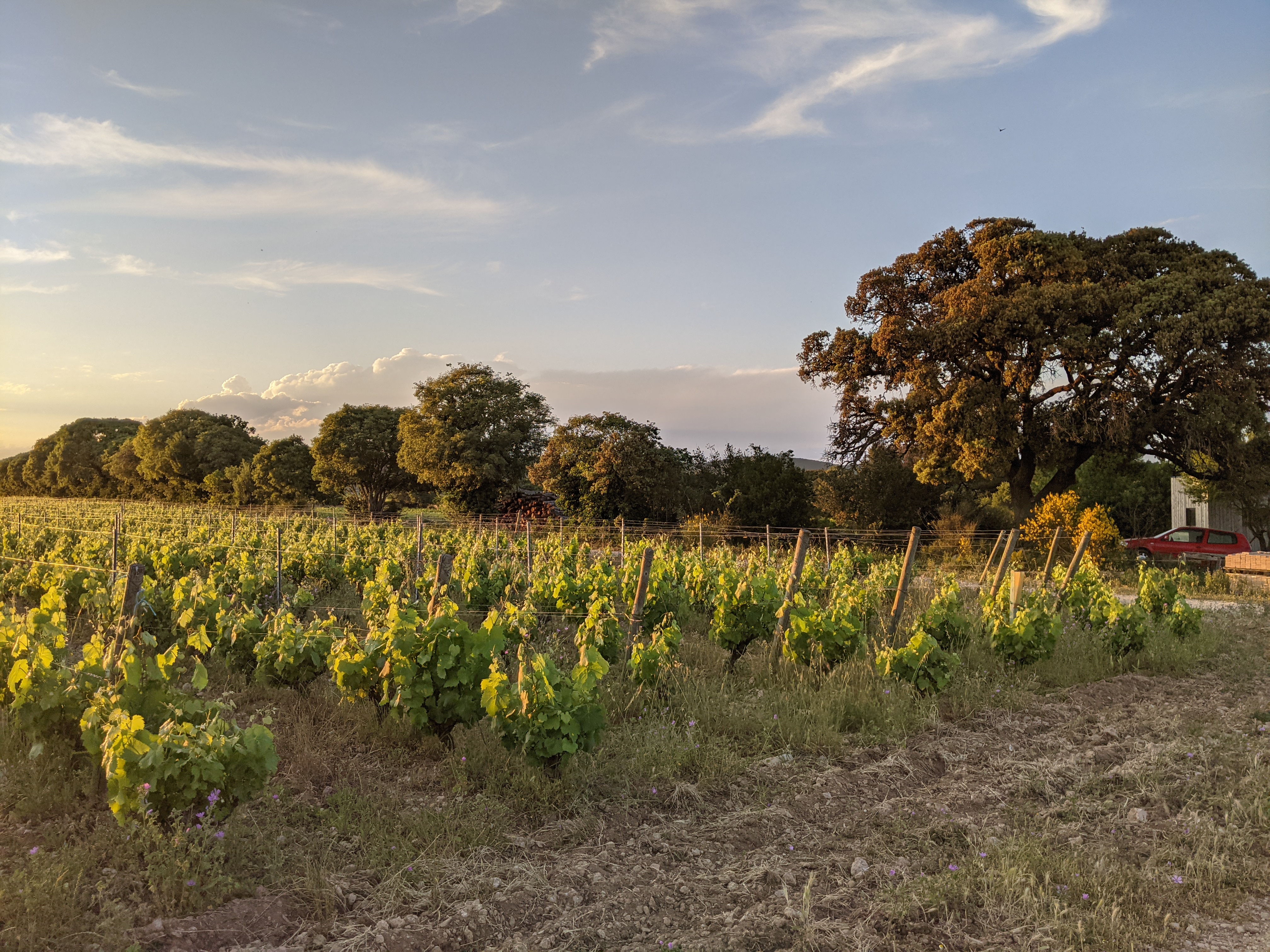 Chateau de stonyPXL_20210530_184732687
