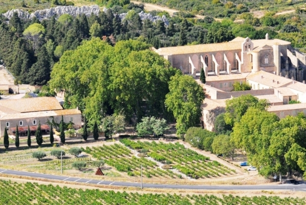 Domaine Viticole de l'Abbaye de Valmagne - 1