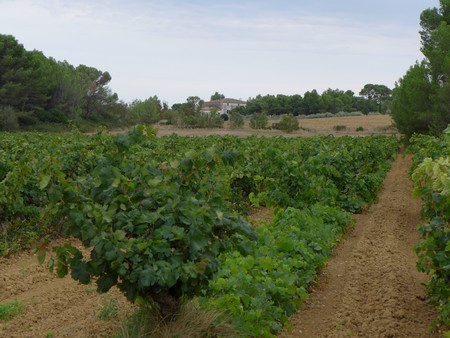 Domaine de creyssels 1