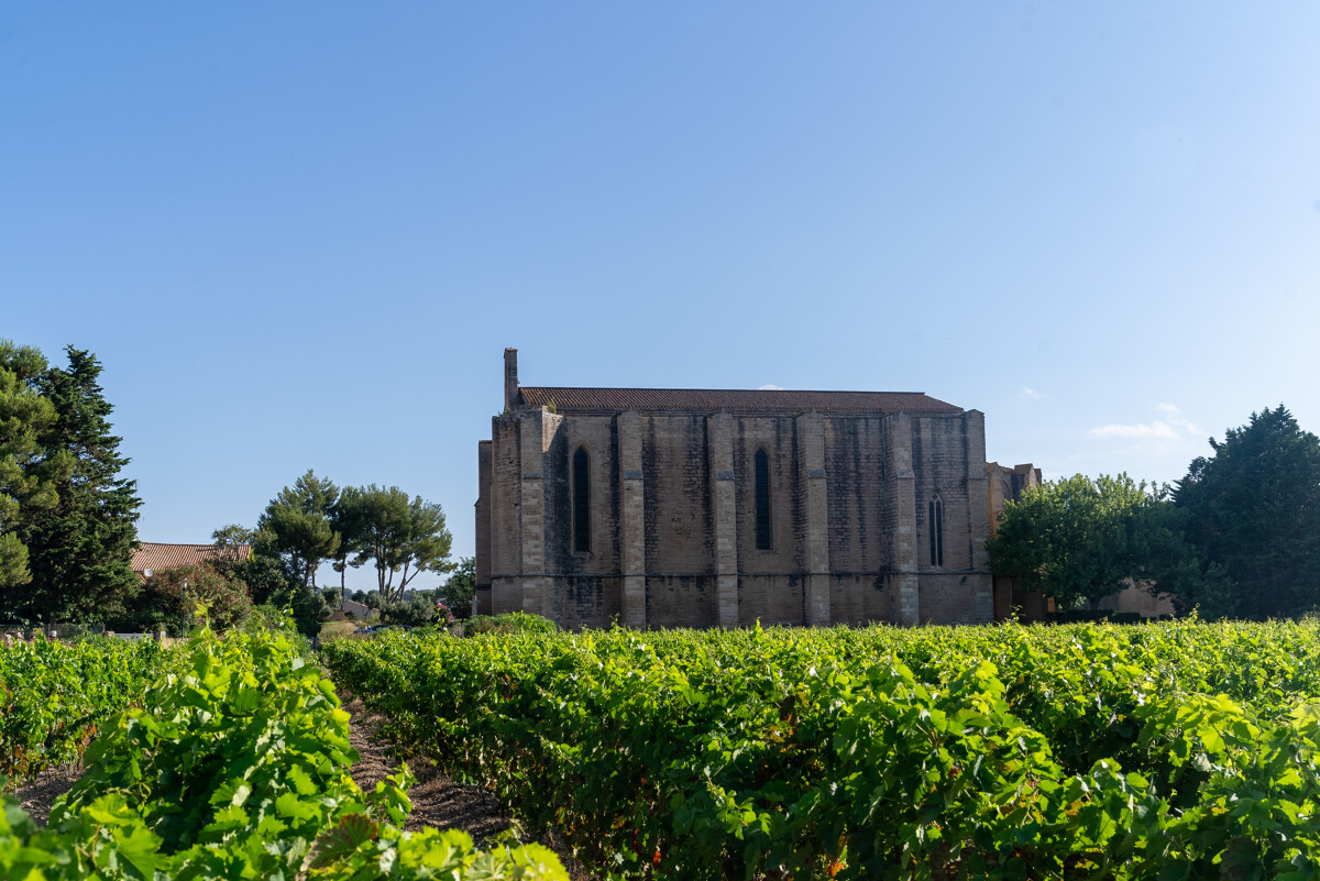 ÉGLISE SAINTE-CÉCILE