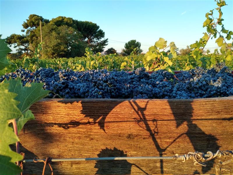 Domaine de Stony