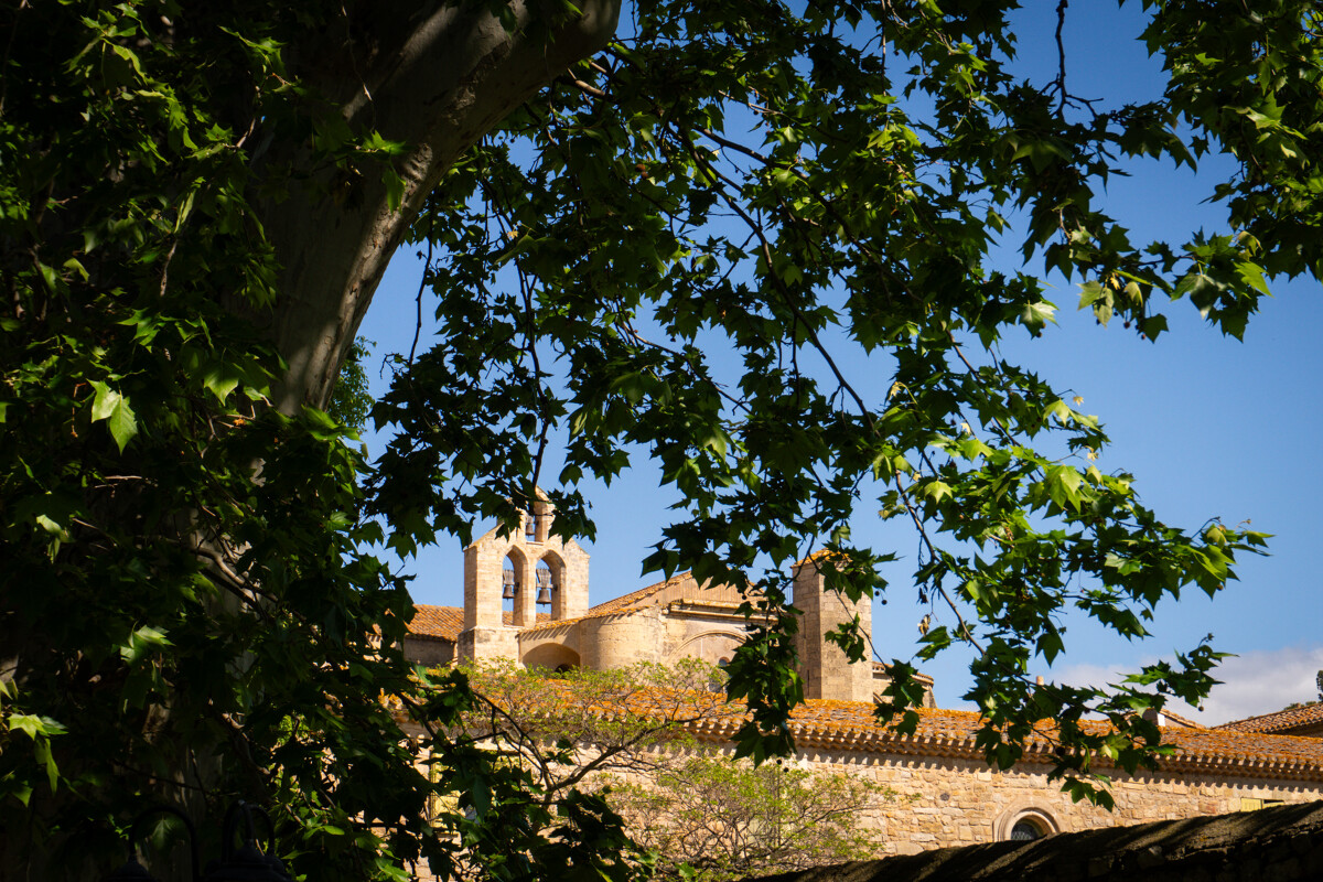 Abbaye Sainte-Marie de Valmagne