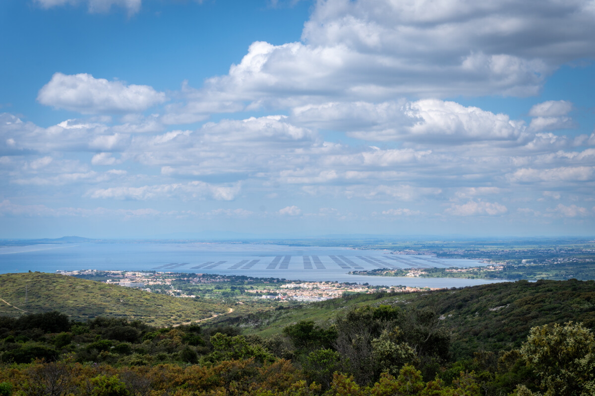 Massif de la Gardiole