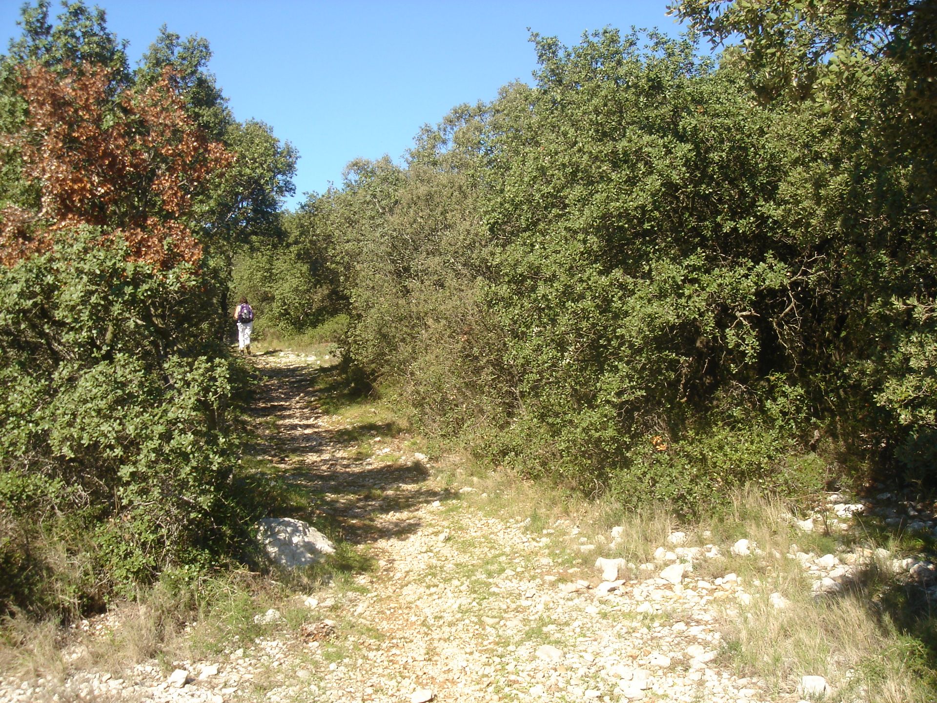Les collines de la Moure-0005 @ Gilles Delerue - ADT34