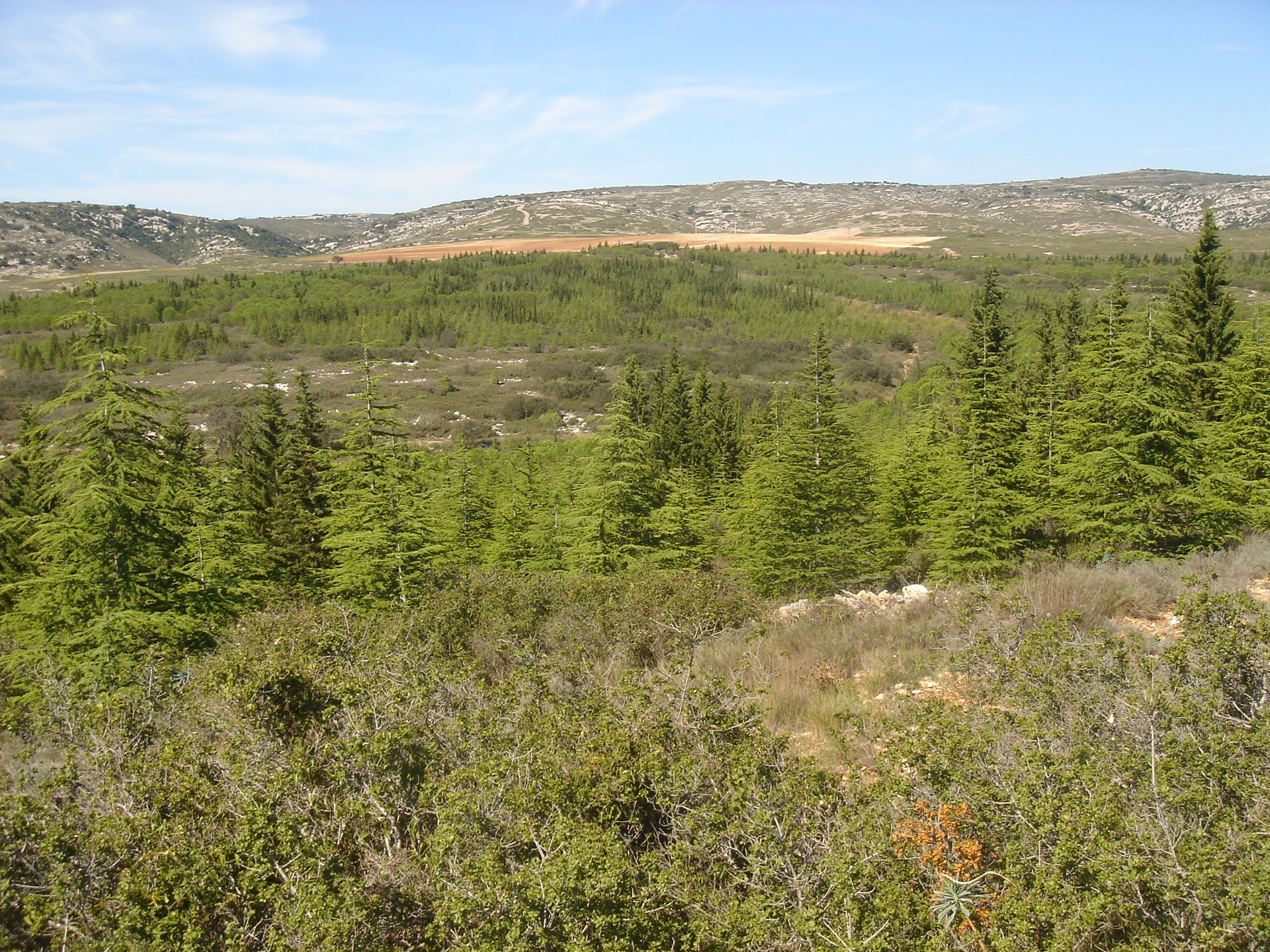 Les collines de la Moure-0012 @ Gilles Delerue - ADT34