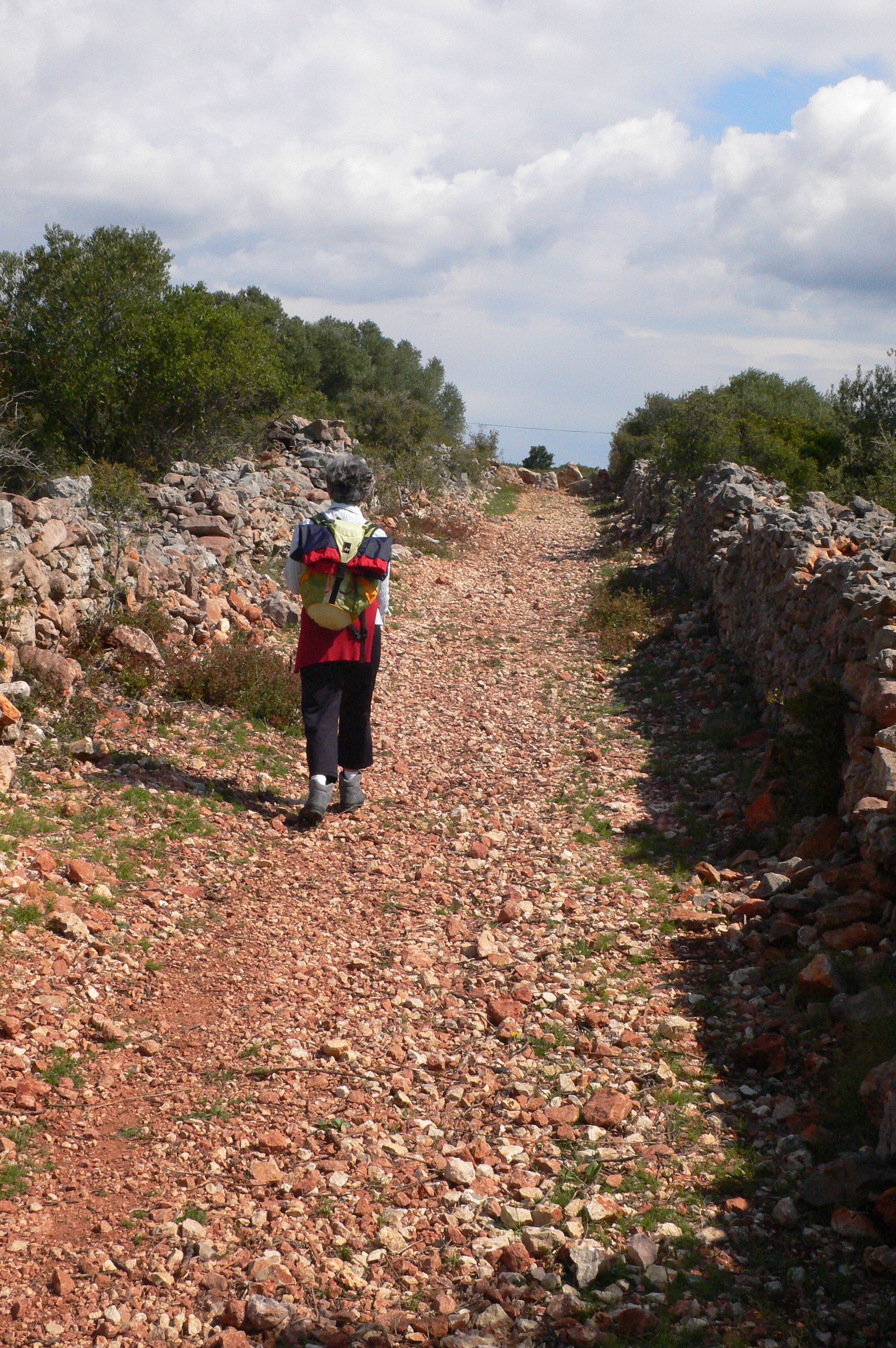 Les collines de la Moure-0015 @ Gilles Delerue - ADT34
