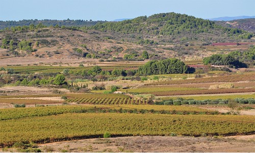Paysage-reduit