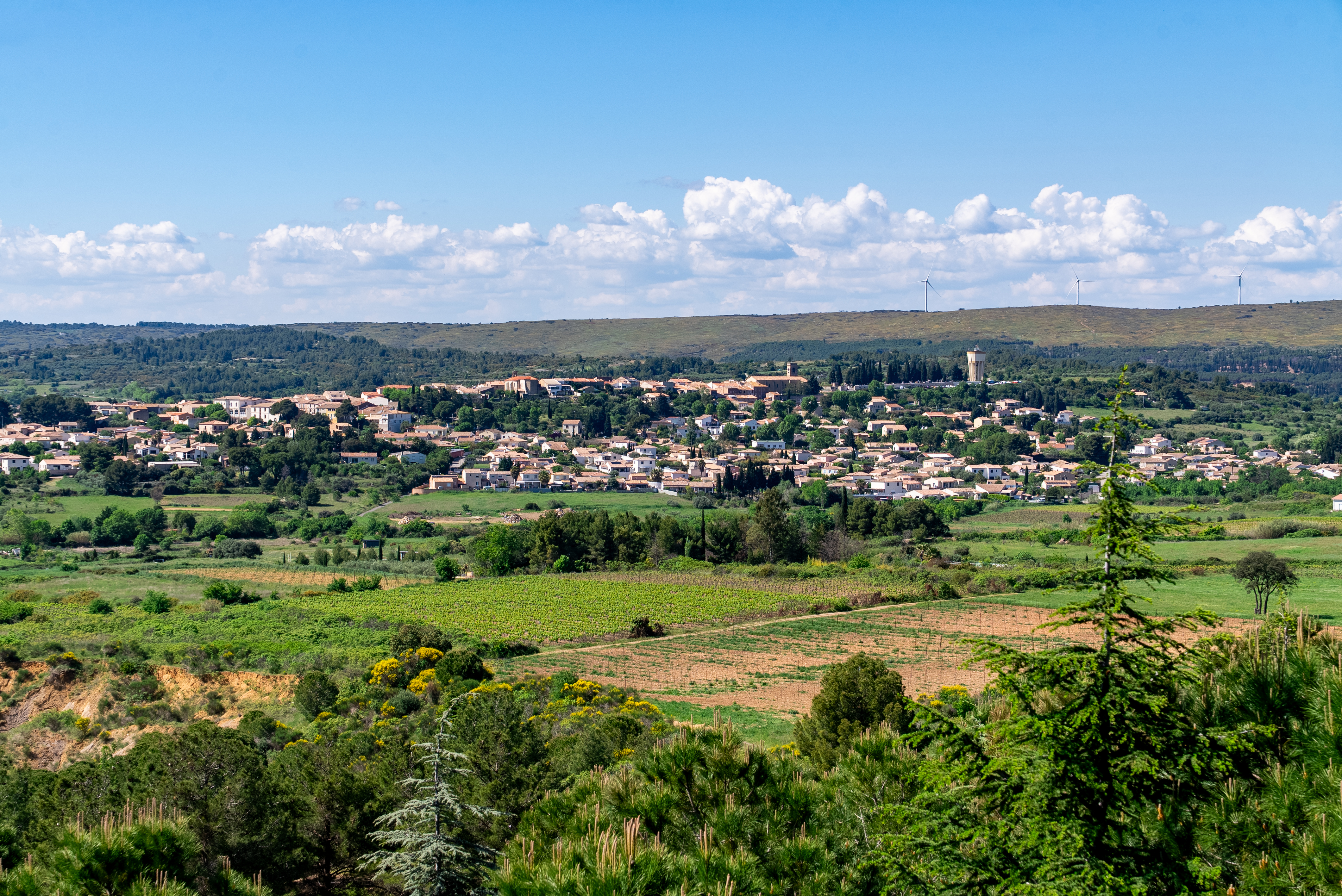 LA PLAINE DE VILLEVEYRAC-MONTAGNAC