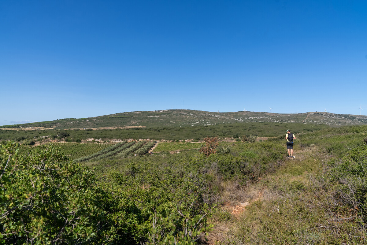 Les collines de la Moure