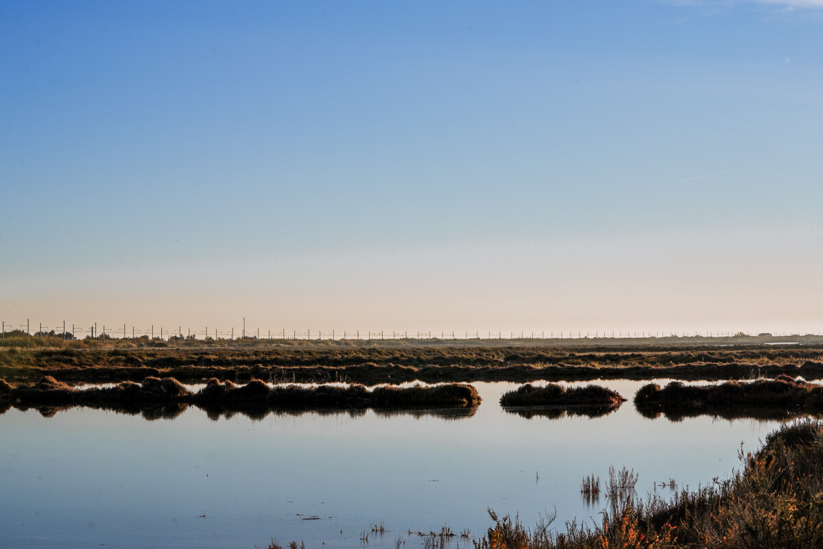 Les salins de Villeroy
