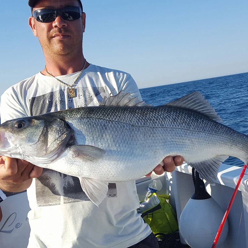 Sète-Fishing-34-(10)