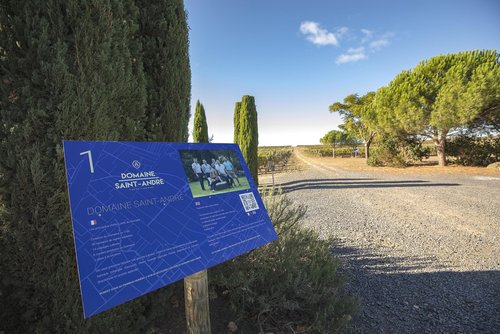 TERROIR ET GASTRONOMIE DOMAINE SAINT ANDRE 3 (2)