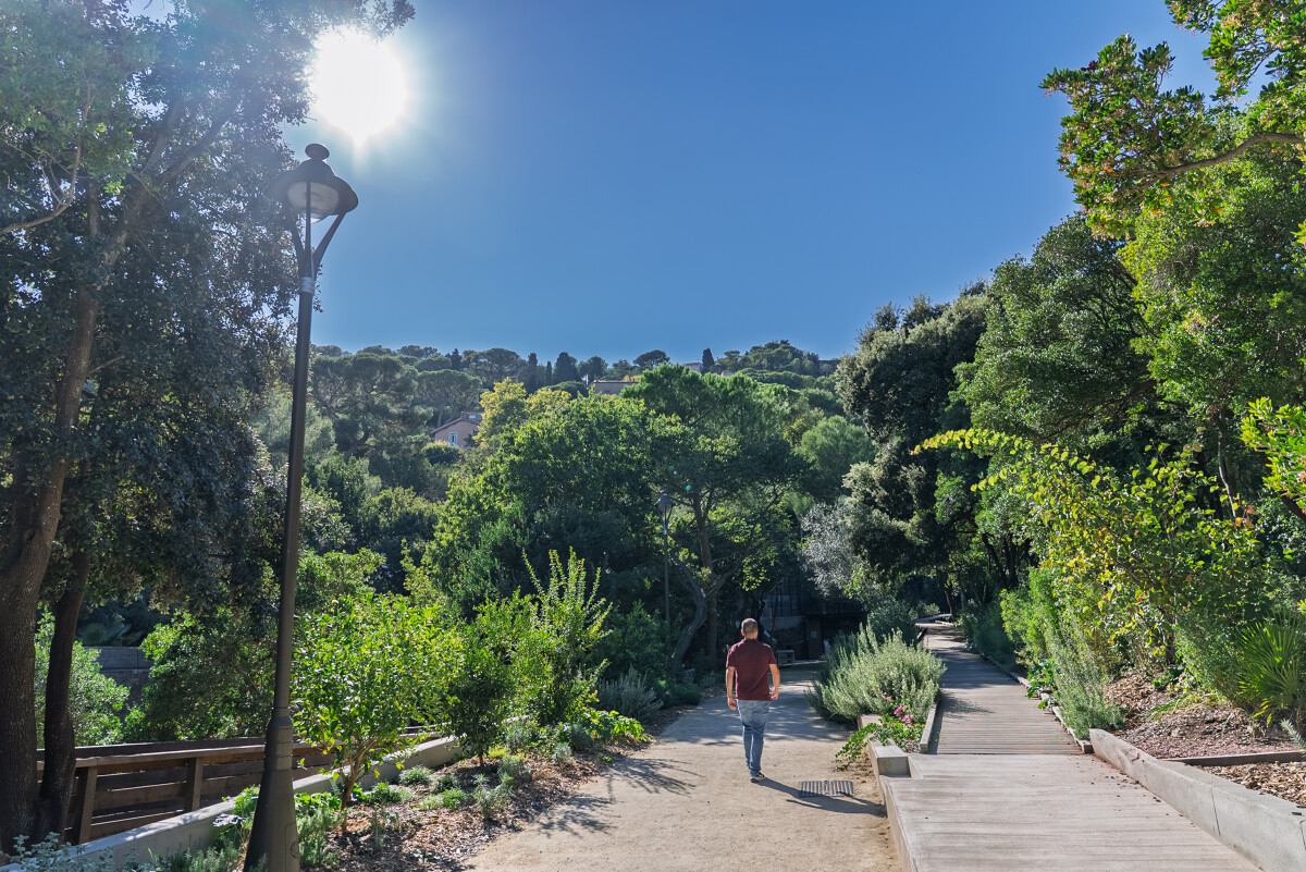 Jardin de l'école des Beaux-Arts