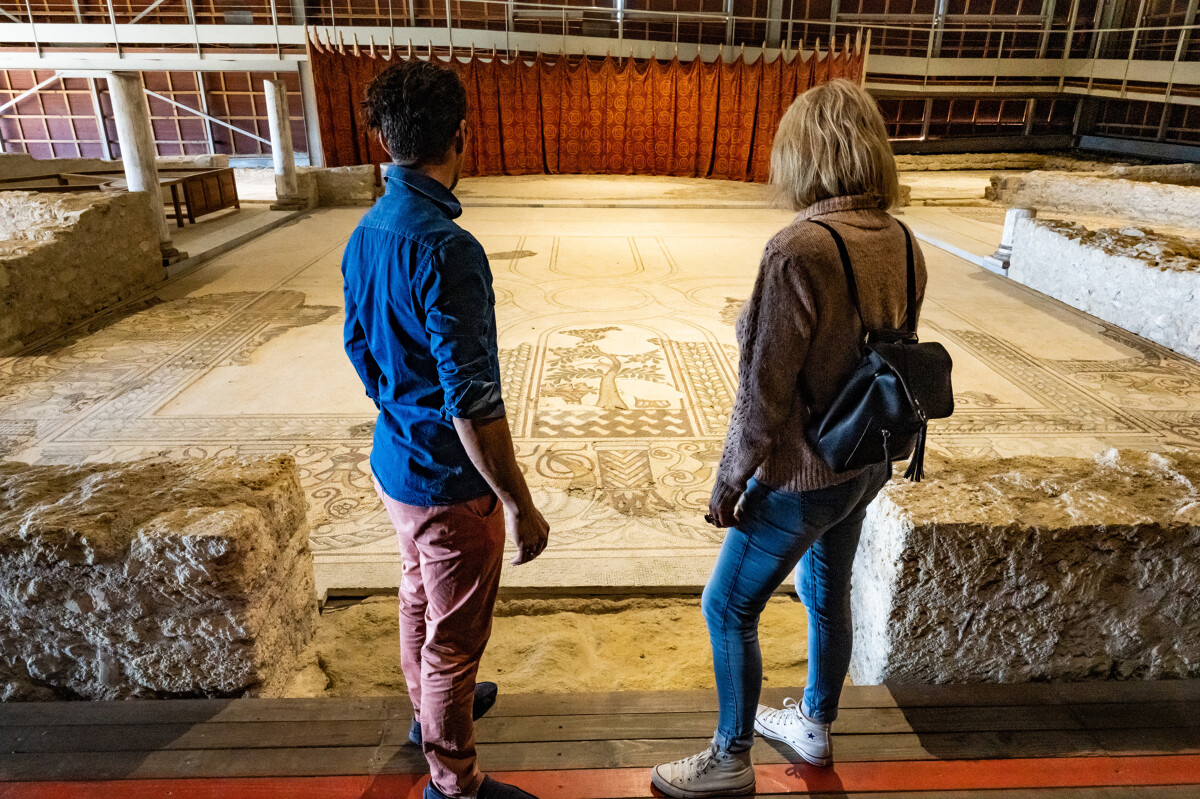 MUSÉE DE SITE GALLO-ROMAIN VILLA-LOUPIAN