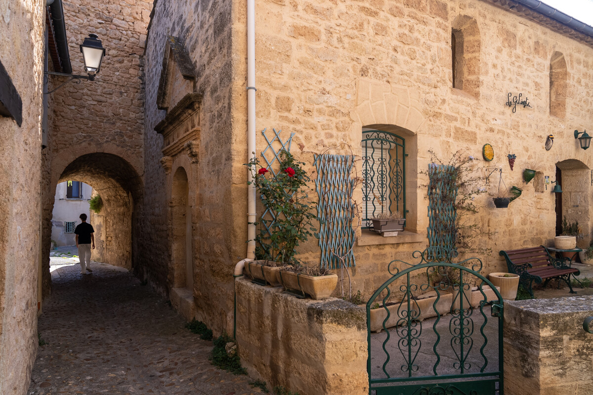 Visite_guidee_Loupian-M_RICARD_OT-THAU-29826-1200px