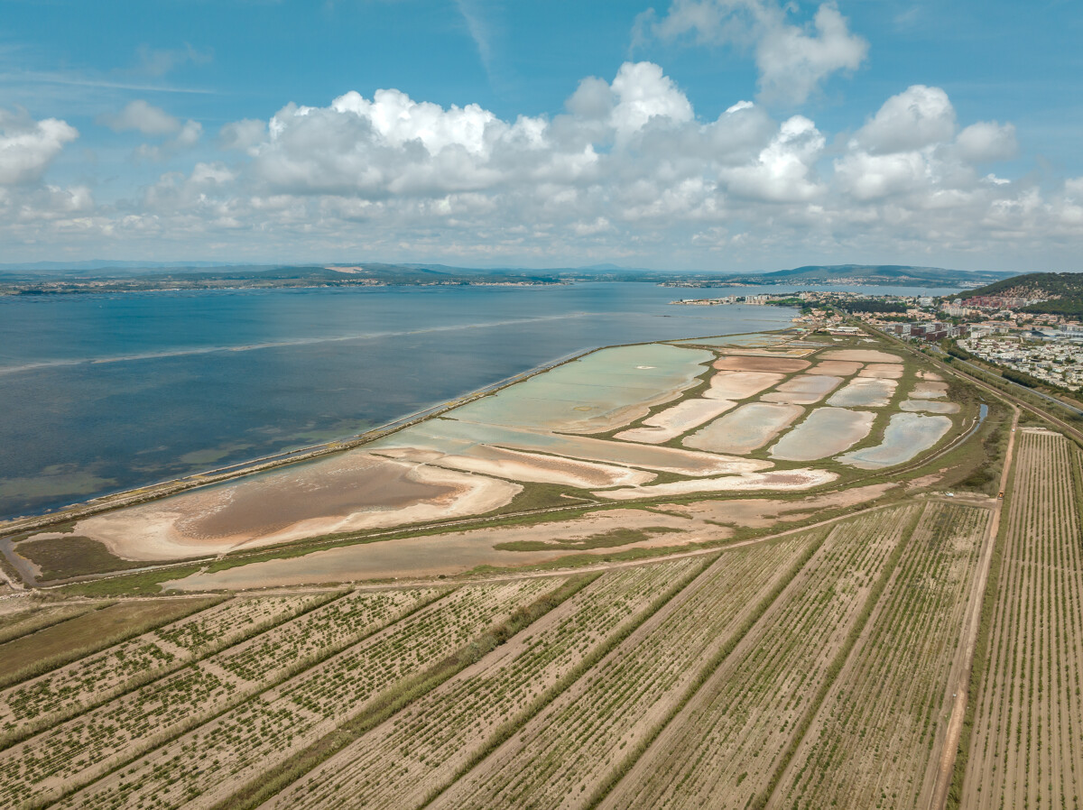 Les salins de Villeroy