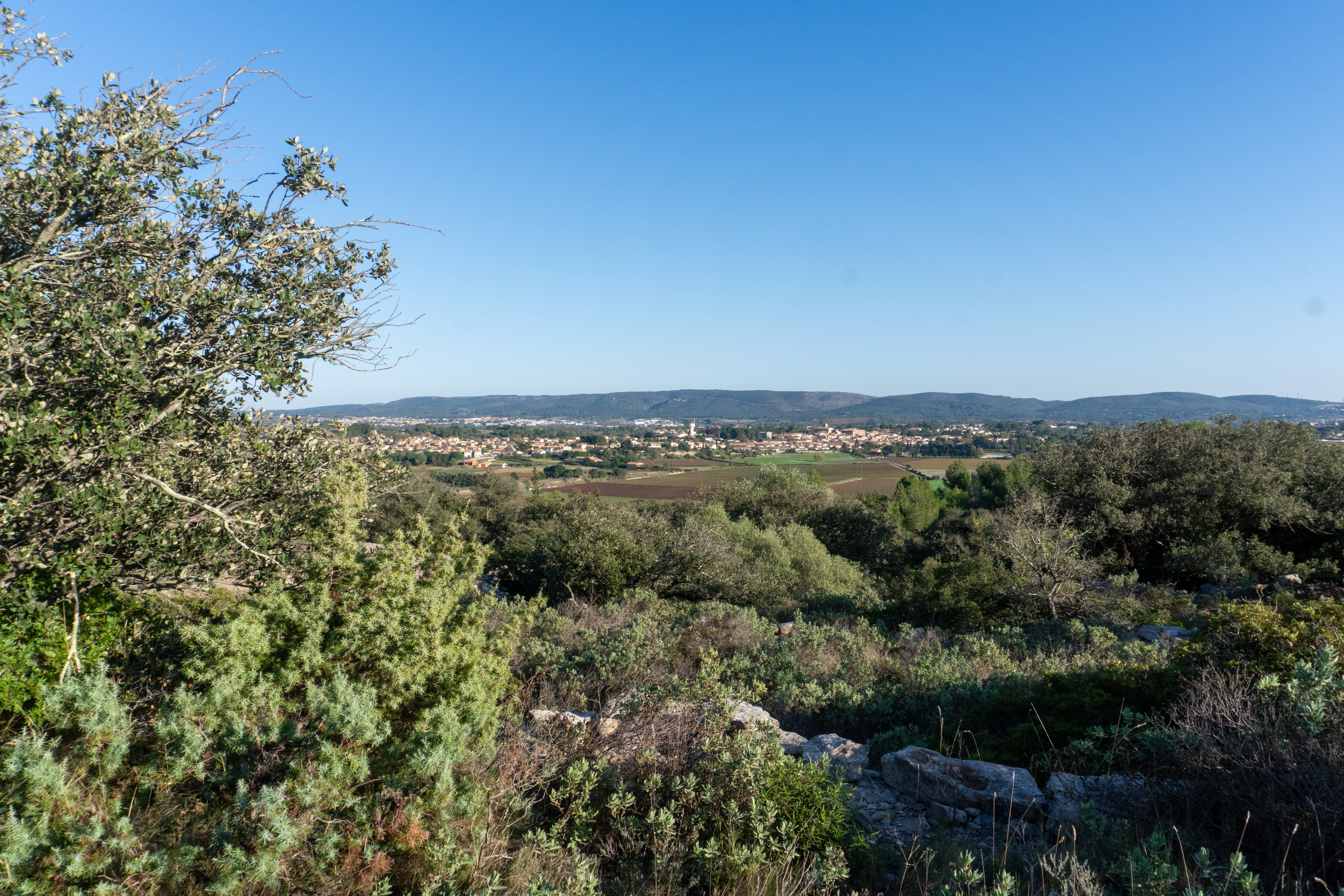 LA PLAINE DE FABRÈGUES - POUSSAN