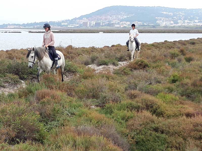 Centre equestre de Sète Balade