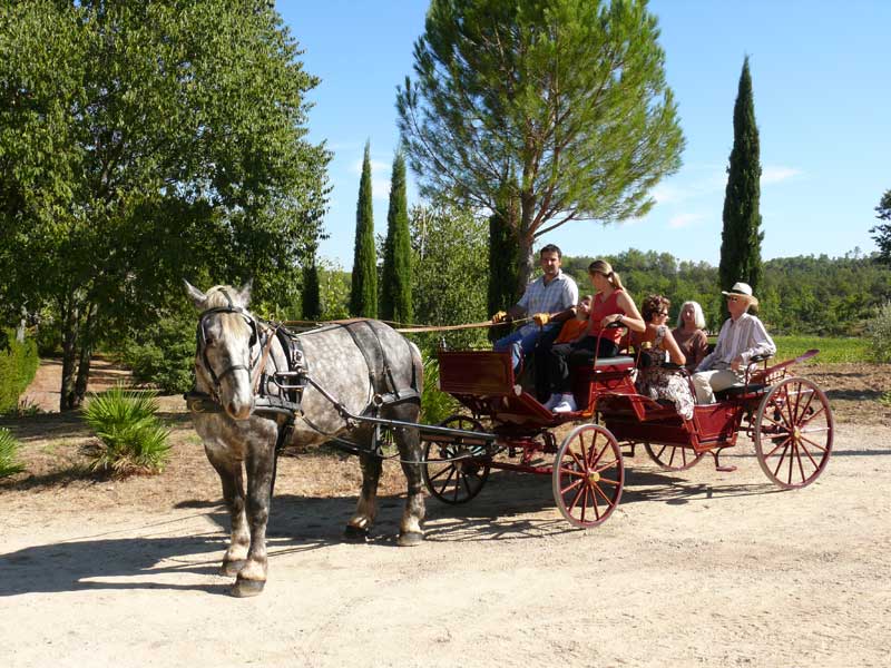 Centre equestre de Sète Balade