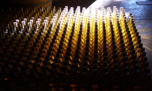 bouteilles cave Plaine Haute (1)