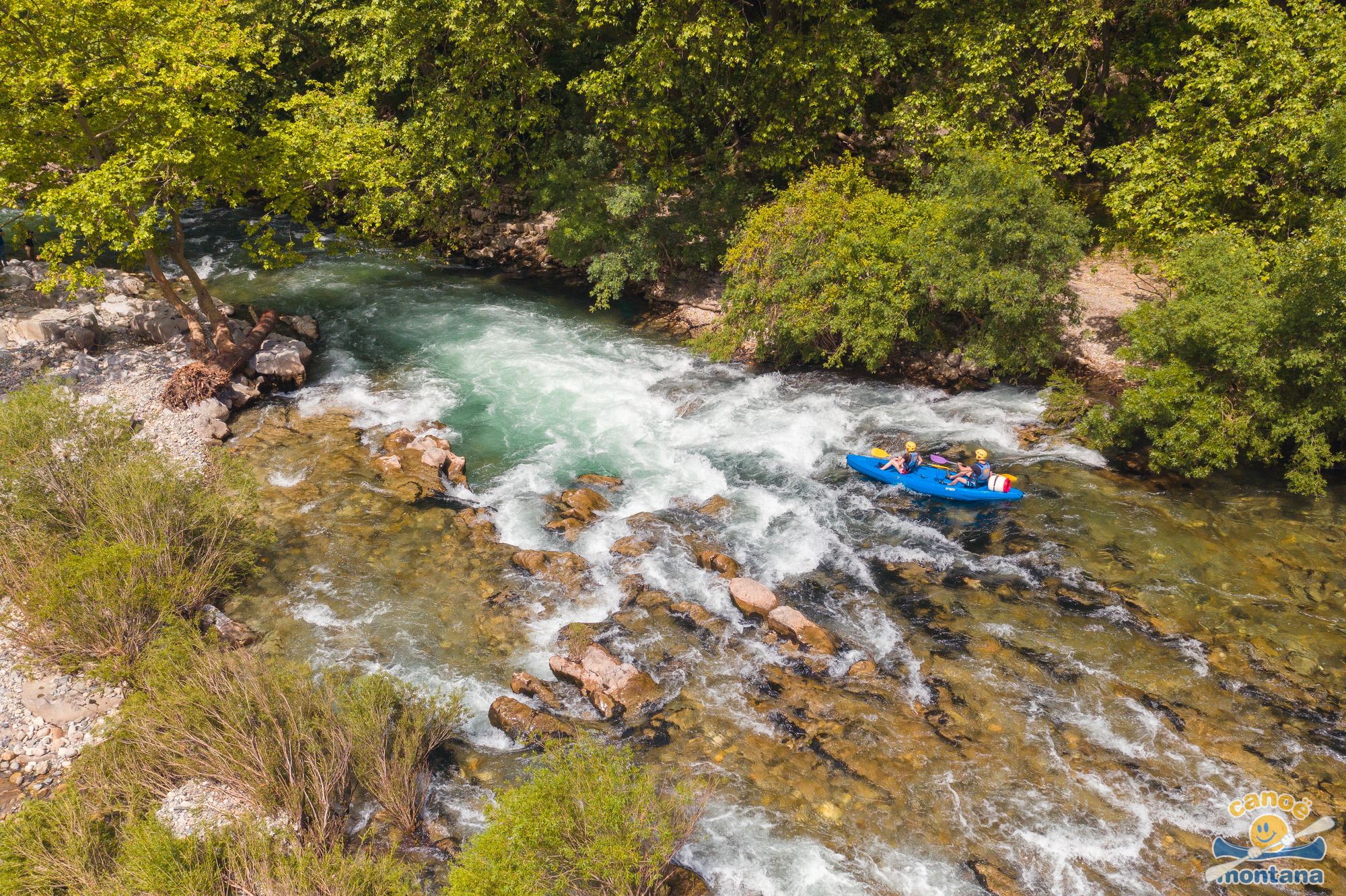 canoe-montana-agence-video-coq-noir-11-77771