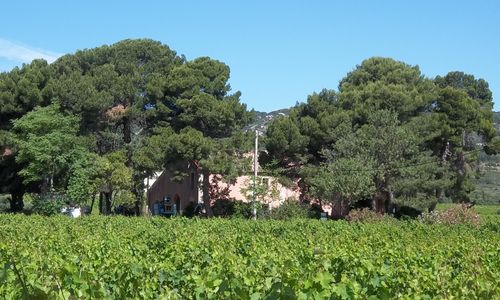 domaine de la plaine 1