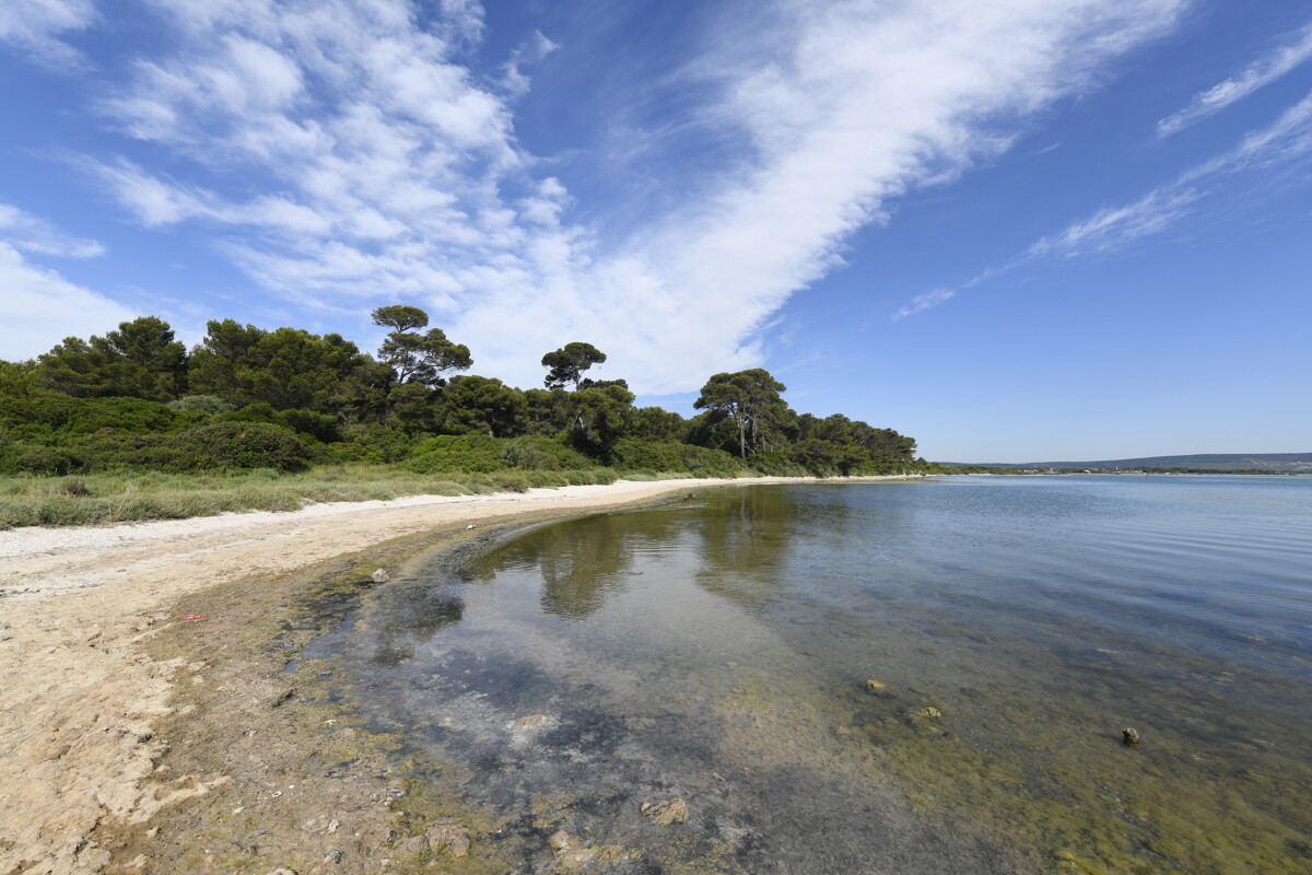 etang-de-vic-l-jennepin-otthau-2780-1200px-94014