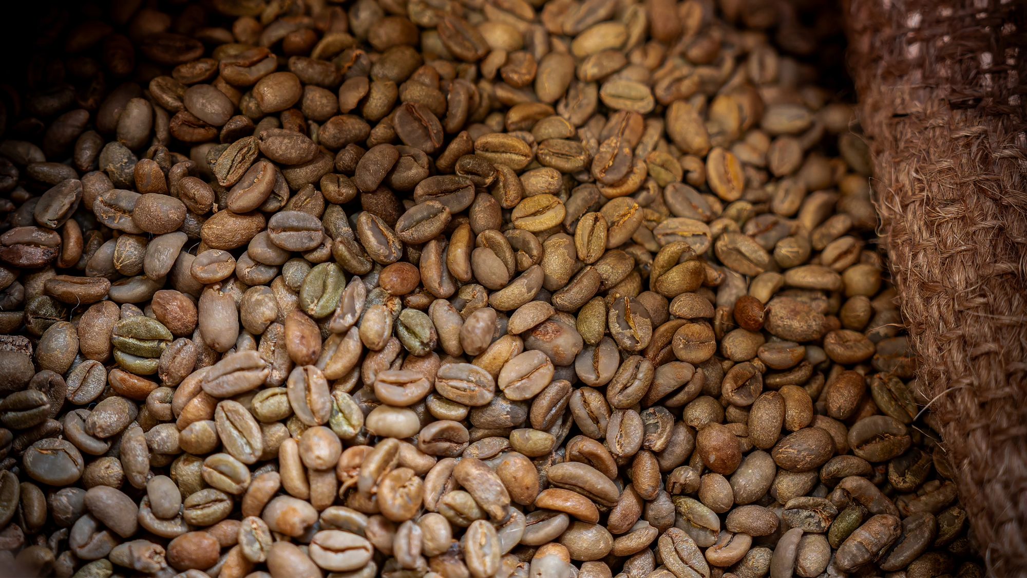 etienne-coffee-shop-6-351763