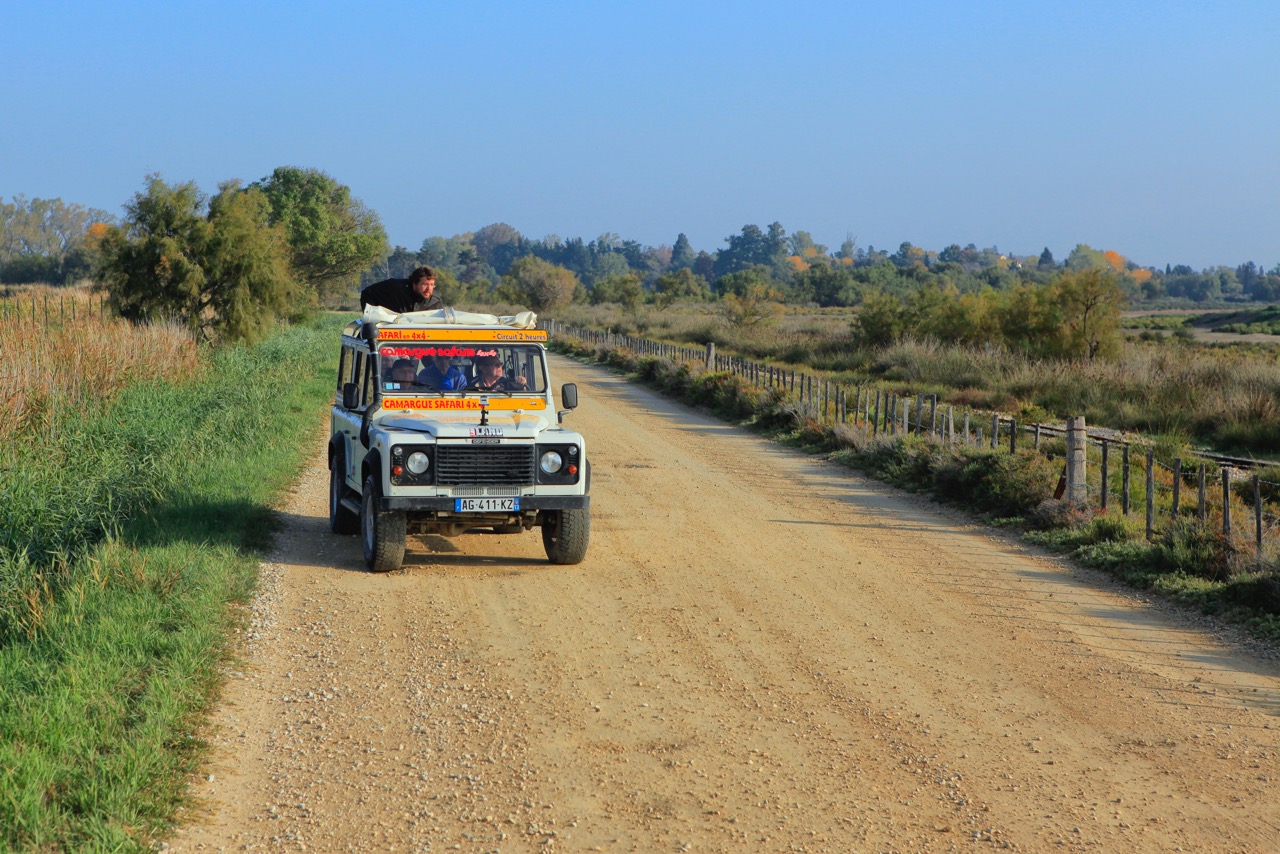 Le Gitan Safari Photo