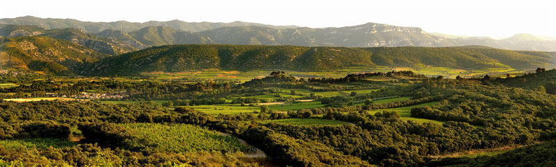 Mas Daumas Gassac - Domaine viticole