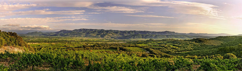 Mas Daumas Gassac - Domaine viticole