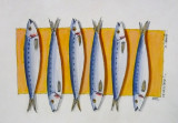 sardines-Leo-Menella-2