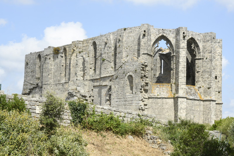 -DSC2038Abbaye-St-Felix-de-Monceau-Gigean-2018-Luc-Jennepin