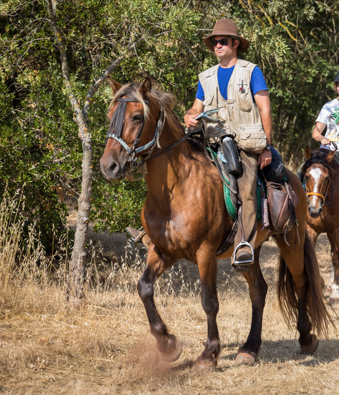 Reportage: Colo  CCAS 15-17ans itinérante à cheval à partir de Ceilhe