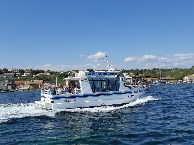 Bleu Marin 1 - © Virginie DAVID Bleu Marin 1