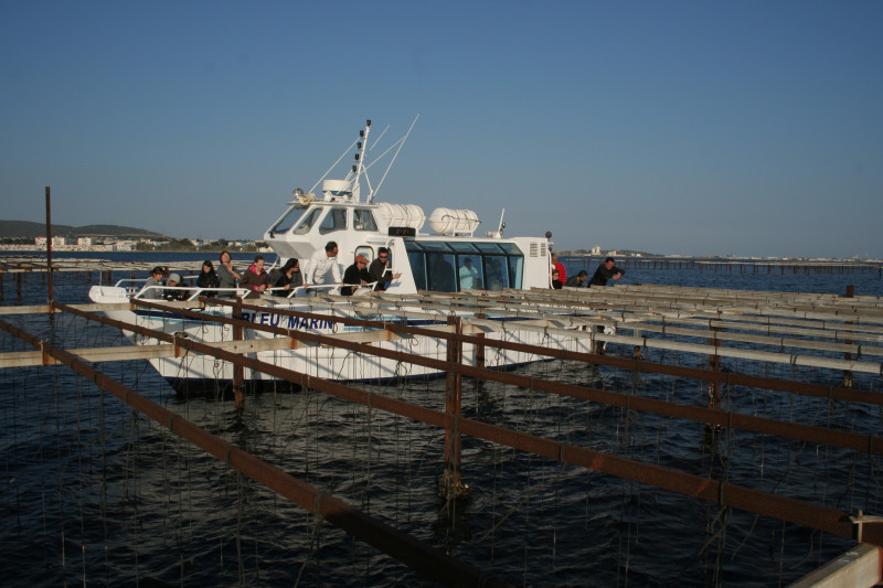 Bleu Marin Promenade bateau Bouzigues (7)